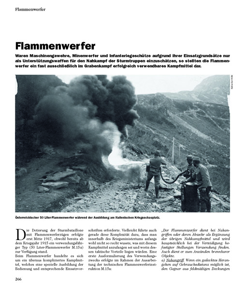 Sturmtruppen – Bild 4